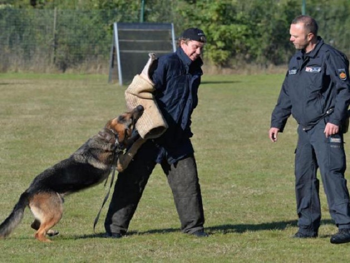Schadenersatz nach Biss von Polizeihund