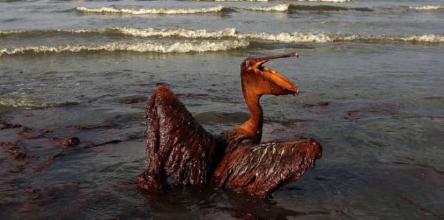 اكتشاف طريقة لإزالة تسرب النفط من البحار (صورة)