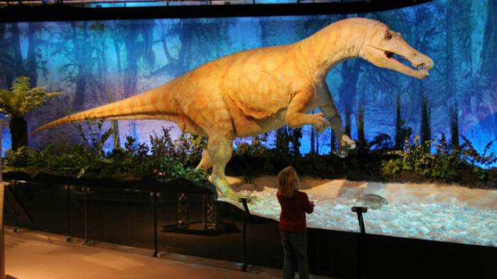 Des dinosaures décapités dans un musée australien