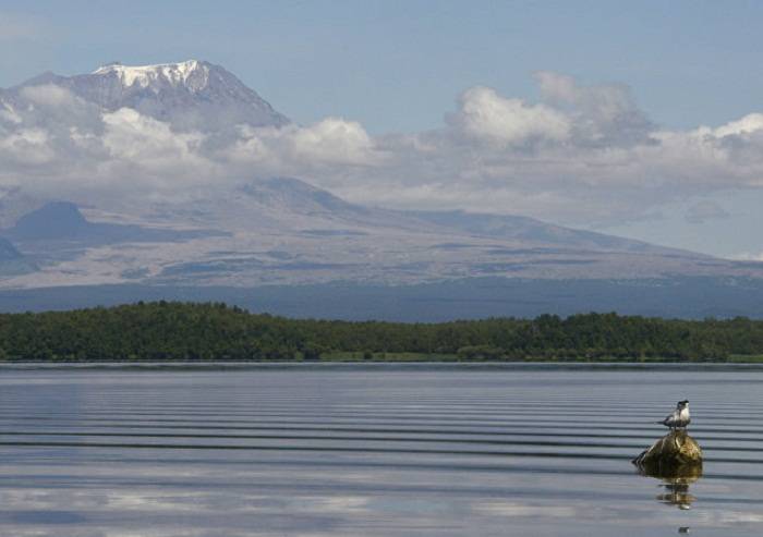 Volcán Shiveluch en Kamchatka arroja ceniza a 9.000 metros de altura