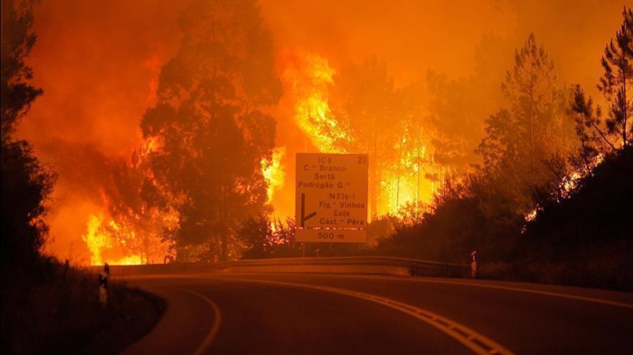 استقالة وزيرة الداخلية البرتغالية إثر كوارث الحرائق في البلاد