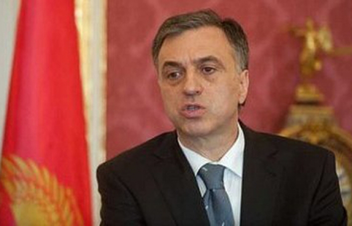 Azerbaijan, Montenegro successfully developing economic co-op - Vujanovic 