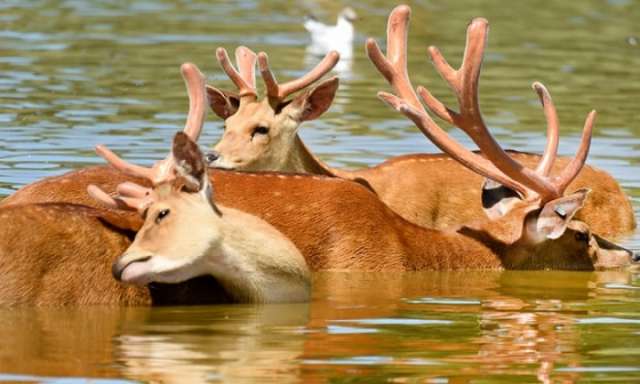 England and Wales record warmest winter since 1910