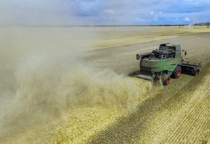 Russland überholt die EU als größter Weizen-Exporteur der Welt