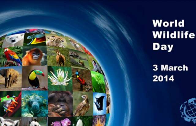 World Wild Life Day - 3 March 