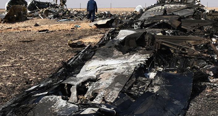 EEUU revela quién está detrás del derribo de un avión civil ruso en Egipto 