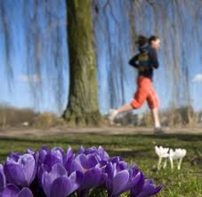 Männer zerren Joggerin in Hamburg ins Gebüsch