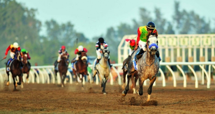 فهد بن محمود يرعى سباق الخيل السنوي للخيالة السلطانية بصحار