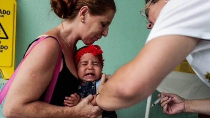 البرازيل تعلن حالة الطواريء الصحية بسبب الحمى الصفراء