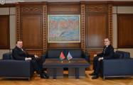   Les ministres des Affaires étrangères azerbaïdjanais et biélorusse s'entretiennent à Bakou  