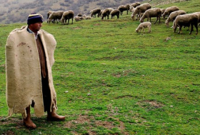 Ermənistana keçən türk çobanı ruslar tutdu