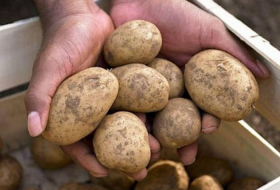  İran Azərbaycana kartof-soğan satışını dayandırır 