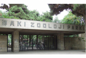       Bakı Zooparkı tamamilə dəyişdi:    “Əvvəlkindən əsər-əlamət qalmayıb”   