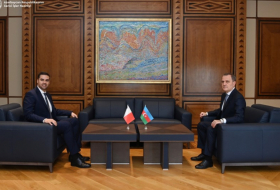   Es fand ein persönliches Treffen zwischen dem Leiter des Außenministeriums Aserbaidschans und dem amtierenden Vorsitzenden der OSZE statt  