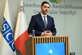     Amtierender Vorsitzender der OSZE:   Die Fortschritte bei der Grenzziehung zwischen Aserbaidschan und Armenien sind lobenswert  