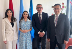    Leyla Aliyeva holds meetings at United Nation’s office in Switzerland  