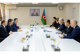 Azerbaijan, Tajikistan mull cooperation opportunities