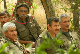 Daha bir PKK lideri məhv edildi