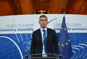 Azərbaycanlı deputat AŞPA komitəsinin sədr müavini seçilib