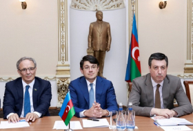 Gürcüstanlı deputatlar Diaspor Komitəsində olublar