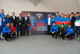 Karateçilərimiz dünya çempionatında 4 medal qazanıb