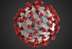 İranda bir gündə 229 nəfər koronavirusdan öldü 