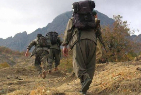 Türkiyə xüsusi təyinatlıları PKK terrorçularını məhv etdi