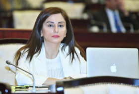 Deputat ATƏT PA-nın sessiyasında Ermənistanın cinayətlərindən danışıb