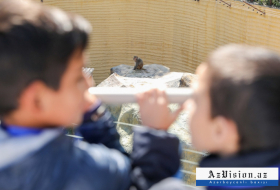   Zooloji Parkın ilk ziyarətçiləri uşaqlar oldu -    FOTOLAR+VİDEO     