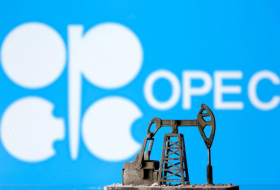    “OPEC”in qiymət oyunları –    TƏHLİL      