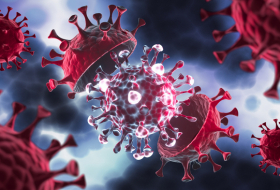       Təhlükə böyüyür:    Viruslar insanın immun sisteminə qarşı birləşdi   