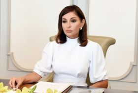    Mehriban Əliyeva Macarıstanın Baş nazirinin xanımı ilə görüşüb   