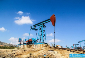 Azərbaycan yanvarda OPEC kvotasını 86 % istifadə edib  
