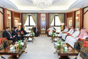   Azerbaijan and Saudi Arabia discuss joint energy sector opportunities  