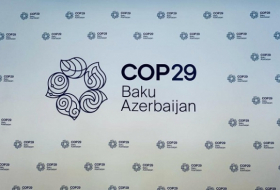 COP29.az website launched in Azerbaijan