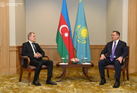   COP29 represents new platform for cooperation, Azerbaijani FM says  