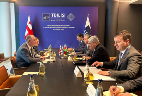 Azerbaijan's finance minister holds several meetings in Tbilisi -   PHOTO  