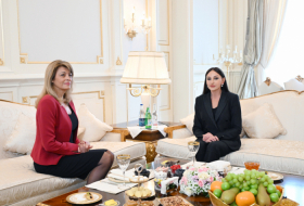 First Lady Mehriban Aliyeva meets with Bulgarian First Lady 