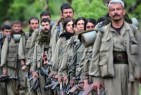 Türkiyədən PKK-ya daha bir zərbə